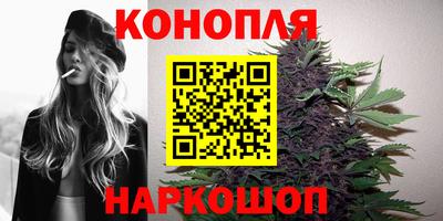 сатива Бугуруслан