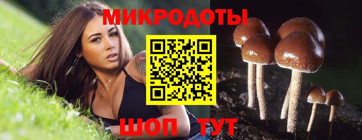 Псилоцибиновые грибы Psilocybe Нефтеюганск